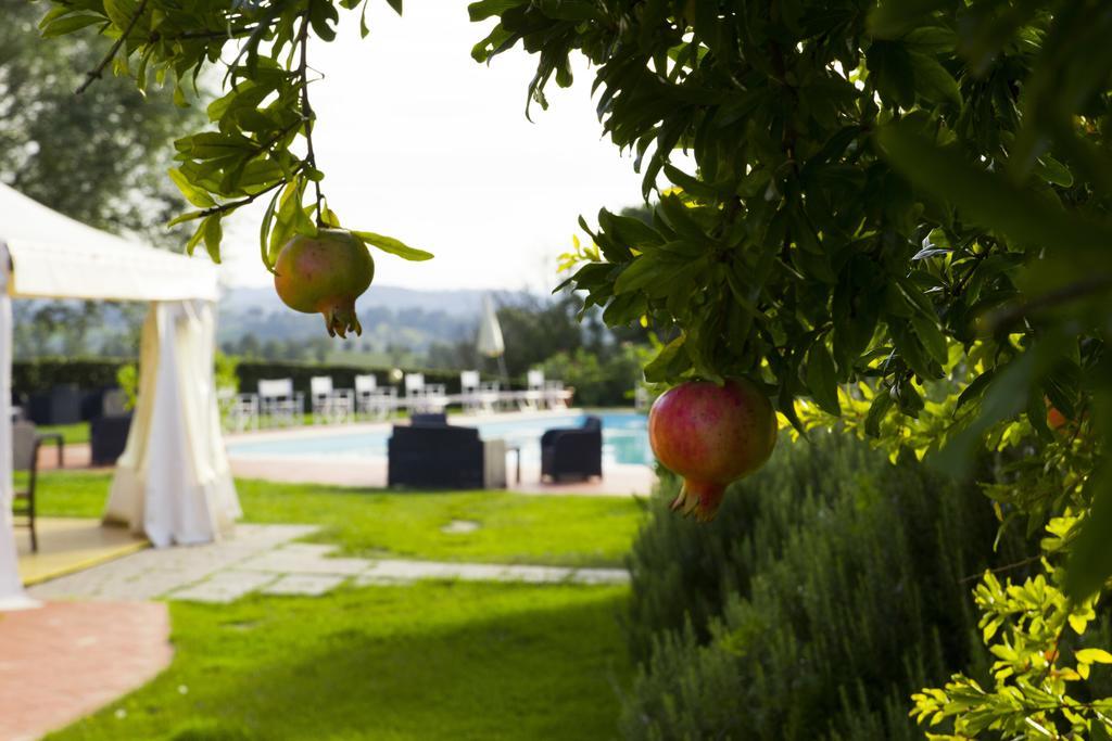סן מיניאטו Agriturismo Marrucola מראה חיצוני תמונה